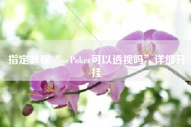 指定教程“wePoker可以透视吗”详细开挂