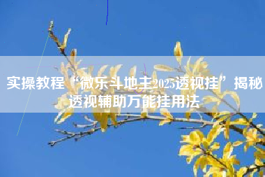 实操教程“微乐斗地主2025透视挂”揭秘透视辅助万能挂用法