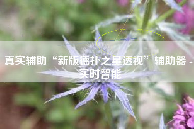 真实辅助“新版德扑之星透视”辅助器 - 实时智能