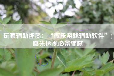 玩家辅助神器：“微乐游戏辅助软件”(曝光透视必备猫腻