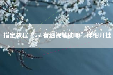 指定教程“wpk有透视辅助嘛	”详细开挂