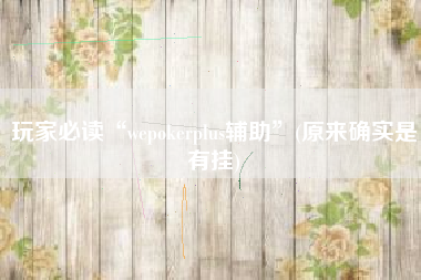 玩家必读“wepokerplus辅助	”(原来确实是有挂)