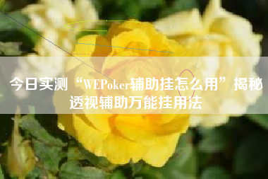今日实测“WEPoker辅助挂怎么用”揭秘透视辅助万能挂用法