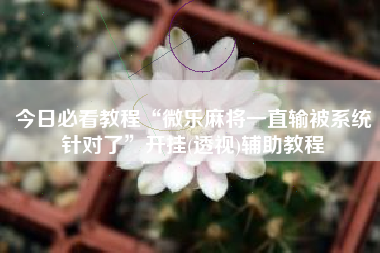 今日必看教程“微乐麻将一直输被系统针对了”开挂(透视)辅助教程