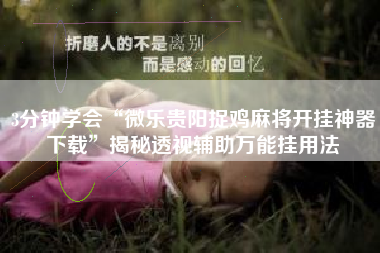 3分钟学会“微乐贵阳捉鸡麻将开挂神器下载”揭秘透视辅助万能挂用法