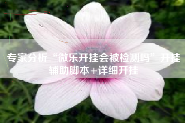 专家分析“微乐开挂会被检测吗”开挂辅助脚本+详细开挂