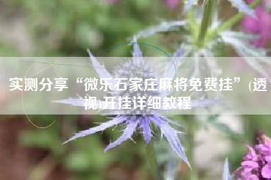 实测分享“微乐石家庄麻将免费挂”(透视)开挂详细教程
