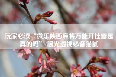 玩家必读“微乐陕西麻将万能开挂器是真的吗”(曝光透视必备猫腻