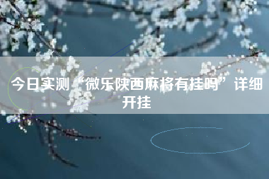 今日实测“微乐陕西麻将有挂吗”详细开挂