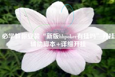 必学教你安装“新版hhpoker有挂吗”开挂辅助脚本+详细开挂