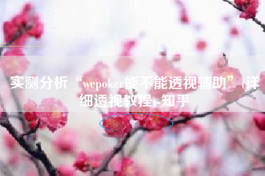 实测分析“wepoker能不能透视辅助	”(详细透视教程)-知乎