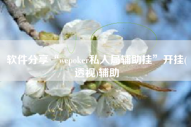 软件分享“wepoker私人局辅助挂”开挂(透视)辅助