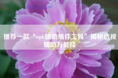 推荐一款“wpk辅助插件工具	”揭秘透视辅助万能挂