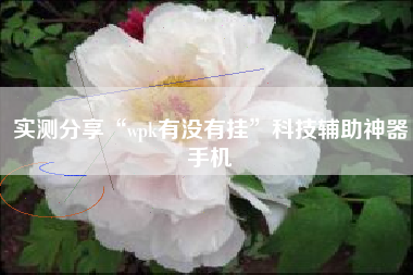 实测分享“wpk有没有挂	”科技辅助神器手机