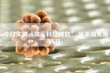 今日实测“微乐科技辅助”(原来确实是有挂)