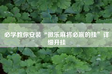 必学教你安装“微乐麻将必赢的挂	”详细开挂