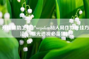 开挂辅助工具“wepoker私人局作弊开挂方法	”(曝光透视必备猫腻