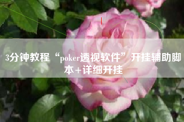 3分钟教程“poker透视软件”开挂辅助脚本+详细开挂