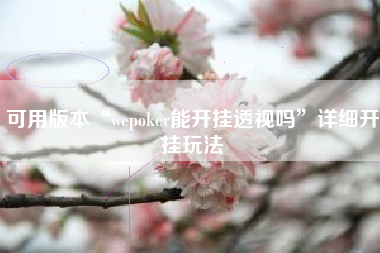 可用版本“wepoker能开挂透视吗”详细开挂玩法