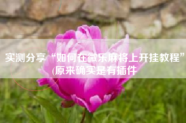 实测分享“如何在微乐麻将上开挂教程	”(原来确实是有插件