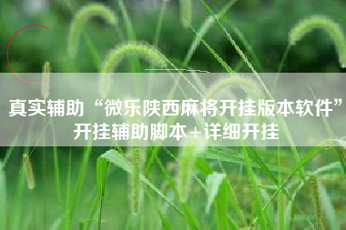 真实辅助“微乐陕西麻将开挂版本软件	”开挂辅助脚本+详细开挂