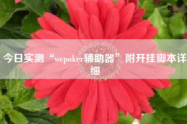 今日实测“wepoker辅助器”附开挂脚本详细