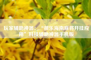 玩家辅助神器：“微乐海南麻将开挂应用	”科技辅助神器手机版