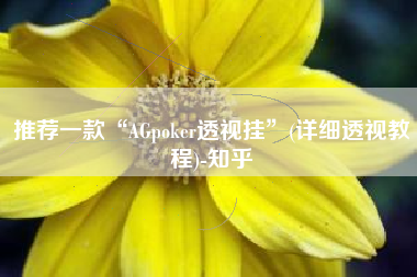 推荐一款“AGpoker透视挂”(详细透视教程)-知乎