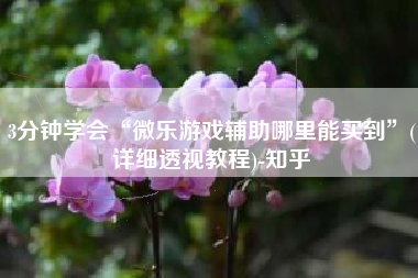 3分钟学会“微乐游戏辅助哪里能买到	”(详细透视教程)-知乎