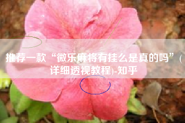 推荐一款“微乐麻将有挂么是真的吗	”(详细透视教程)-知乎