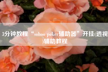 3分钟教程“sohoo poker辅助器	”开挂(透视)辅助教程