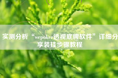 实测分析“wepoker透视底牌软件”详细分享装挂步骤教程