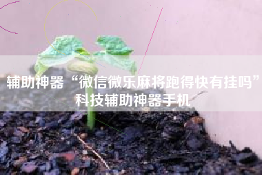 辅助神器“微信微乐麻将跑得快有挂吗”科技辅助神器手机