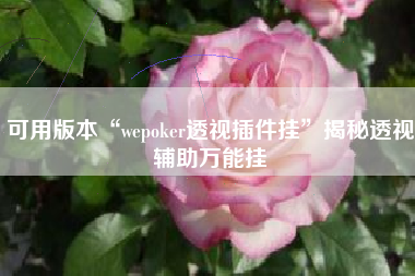 可用版本“wepoker透视插件挂”揭秘透视辅助万能挂