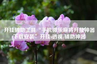 开挂辅助工具“手机微乐麻将开挂神器下载安装	”开挂(透视)辅助神器