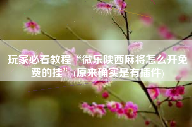 玩家必看教程“微乐陕西麻将怎么开免费的挂	”(原来确实是有插件)