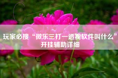 玩家必搜“微乐三打一透视软件叫什么	”开挂辅助详细