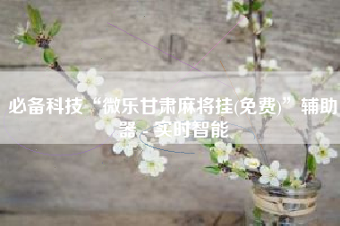 必备科技“微乐甘肃麻将挂(免费)”辅助器 - 实时智能