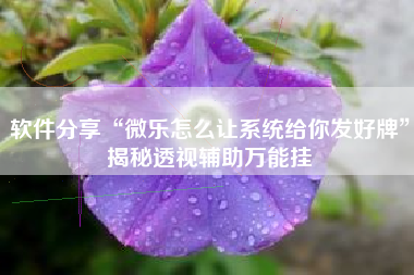 软件分享“微乐怎么让系统给你发好牌	”揭秘透视辅助万能挂