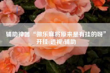 辅助神器“微乐麻将原来是有挂的呀	”开挂(透视)辅助