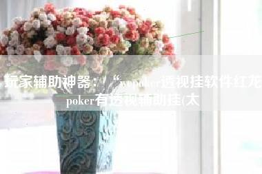 玩家辅助神器:“wepoker透视挂软件红龙poker有透视辅助挂(太 玩家辅助神器:“wepoker透视挂软件红龙poker有透视辅助挂(太