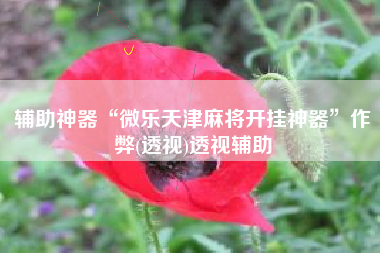 辅助神器“微乐天津麻将开挂神器”作弊(透视)透视辅助