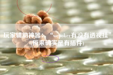 玩家辅助神器：“wepoker有没有透视挂”(原来确实是有插件)