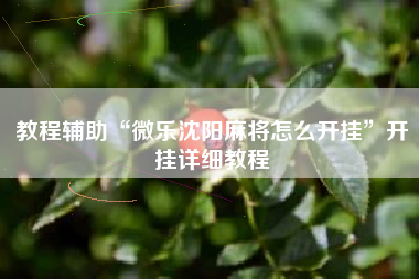 教程辅助“微乐沈阳麻将怎么开挂	”开挂详细教程