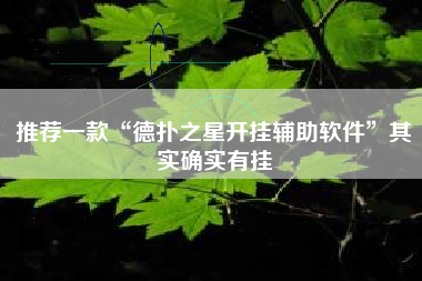 推荐一款“德扑之星开挂辅助软件”其实确实有挂