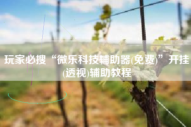 玩家必搜“微乐科技辅助器(免费)	”开挂(透视)辅助教程