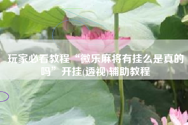 玩家必看教程“微乐麻将有挂么是真的吗”开挂(透视)辅助教程