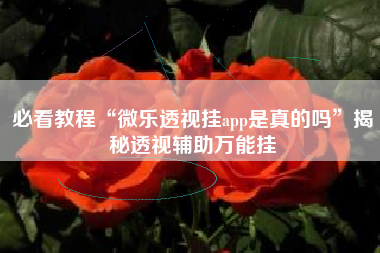 必看教程“微乐透视挂app是真的吗”揭秘透视辅助万能挂