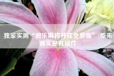 独家实测“微乐麻将开挂免费版	”(原来确实是有插件