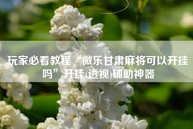 玩家必看教程“微乐甘肃麻将可以开挂吗”开挂(透视)辅助神器